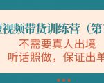 视频带货训练营，不需要真人出境，听话照做，保证出单（第11期）-淘金日记