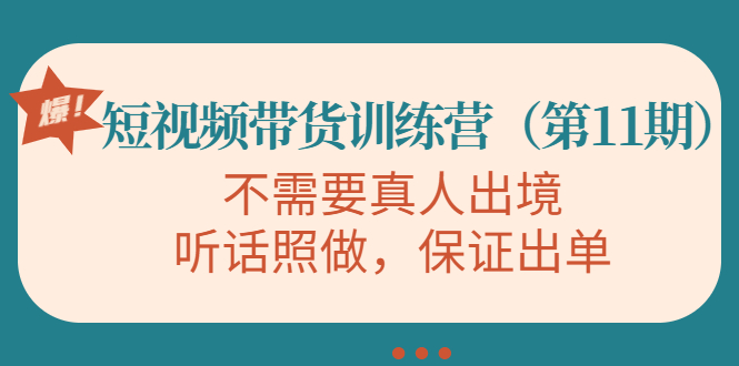 视频带货训练营，不需要真人出境，听话照做，保证出单（第11期）-淘金日记