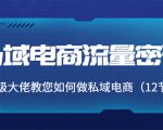 私域电商流量密码:千万级大佬教您如何做私域电商(12节课)-淘金日记