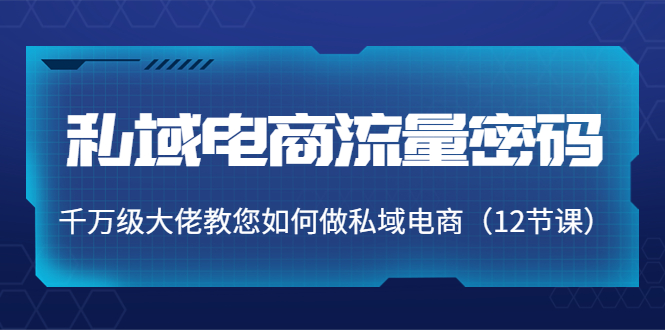 私域电商流量密码:千万级大佬教您如何做私域电商(12节课)-淘金日记