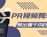PR视频剪辑课:各种剪辑与视频特效玩法,剪出属于你的大片-淘金日记