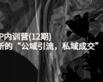 新媒体IP内训营(12期)，一套全新的“公域引流，私域成交”IP打法，直接带走-淘金日记