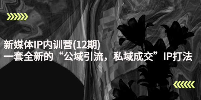 新媒体IP内训营(12期),一套全新的“公域引流,私域成交”IP打法,直接带走-淘金日记