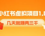 《小红书虚拟项目1.0》账号注册+养号+视频制作+引流+变现，几天就赚两三千-淘金日记