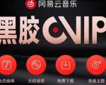 网易云音乐撸黑胶年卡及变现方法,收益可无限放大-淘金日记