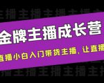 金牌主播成长营,一周从直播小白入门带货主播,让直播更简单-淘金日记