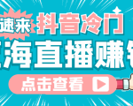 最新抖音冷门简单的蓝海直播赚钱玩法,流量大知道的人少,可做到全无人直播-淘金日记