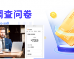 跨境问卷项目,操作简单一天稳定100美刀,每个月能挣1-3W-淘金日记