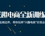 兴趣电商全新训练营:打破品销边界,带你玩转“兴趣电商“实现业务增长-淘金日记