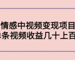 副业孵化营第5期：抖音情感中视频变现项目孵化 单条视频收益几十上百-淘金日记