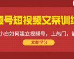 视频号短视频文案训练营:0基础小白如何建立视频号,上热门,能卖货!-淘金日记