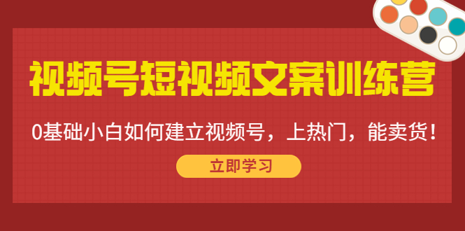 视频号短视频文案训练营:0基础小白如何建立视频号,上热门,能卖货!-淘金日记