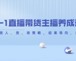 从0-1直播带货主播养成记,直播带货人、货、场策略,结果导向,数据说话-淘金日记