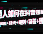 普通人如何在抖音赚到钱:策略 路线 规则 突破 赚钱(10节课)-淘金日记