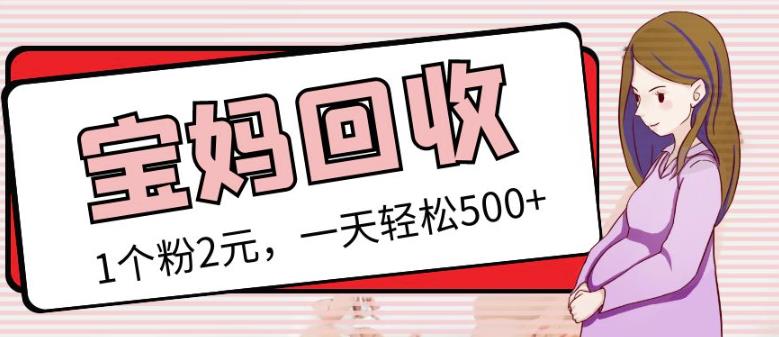 最新小红书母婴号宝妈粉回收项目，1个粉2元，一天轻松500+案例分享【粉丝包回收】-淘金日记