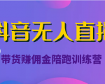 抖音无人直播带货赚佣金陪跑训练营(价值6980元)-淘金日记