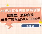 28天小红书博主IP特训营《第9期》做爆款,涨粉变现 单条广告笔记500-10000-淘金日记