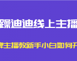 暴躁迪迪线上主播课,金牌主播教新手小白如何开播-淘金日记