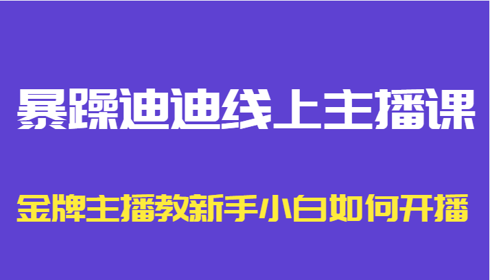 暴躁迪迪线上主播课,金牌主播教新手小白如何开播-淘金日记