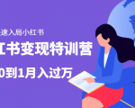 小红书变现特训营:带你快速入局小红书,从0到1月入过万-淘金日记