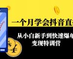 一个月学会抖音直播带货:从小白新手到快速爆单变现特训营(63节课)-淘金日记