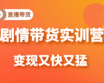 《剧情带货实训营》目前最好的直播带货方式,变起现来是又快又猛(价值980元)-淘金日记