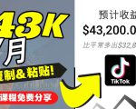 2022抖音国际版Tiktok赚钱项目:每天上传一个视频就轻松月入$43200-淘金日记