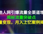 天地人网引爆流量全渠道增长:揭秘流量突然破点,流量变现,月入上亿案例-淘金日记