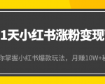 21天小红书涨粉变现营(第4期):带你掌握小红书爆款玩法,月赚10W+秘密-淘金日记