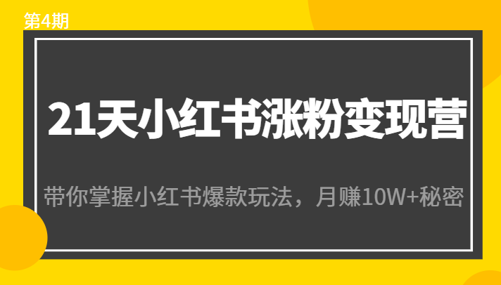 21天小红书涨粉变现营(第4期):带你掌握小红书爆款玩法,月赚10W+秘密-淘金日记