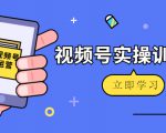 微信视频号实操训练营:视频号起号运营纯干货玩法!-淘金日记