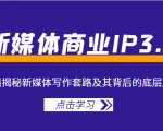 新媒体商业IP3.0,全面揭秘新媒体写作套路及其背后的底层逻辑(价值1299元)-淘金日记