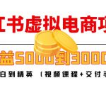 小红书虚拟电商项目:从小白到精英 月收益5000到30000 (视频课程+交付手册)-淘金日记