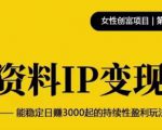 资料IP变现，能稳定日赚3000起的持续性盈利玩法-淘金日记