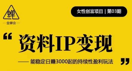 资料IP变现,能稳定日赚3000起的持续性盈利玩法-淘金日记