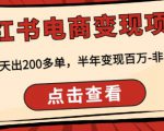 顽石·小红书电商变现项目,实测当天出200多单,半年变现百万,非常稳定-淘金日记