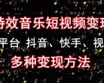 黄岛主《粒子特效音乐短视频变现项目》主攻平台抖音、快手、视频号多种变现方法-淘金日记