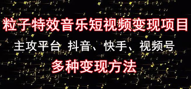 黄岛主《粒子特效音乐短视频变现项目》主攻平台抖音、快手、视频号多种变现方法-淘金日记