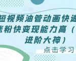 短视频油管动画快速制作涨粉快变现能力高(0基础进阶大神)-淘金日记