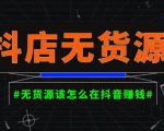 启哥抖店无货源店群陪跑计划,一个人在家就能做的副业,月入10000+-淘金日记
