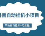 抖音自动挂机小项目，单设备日撸20+，可批量，号越多收益越大-淘金日记