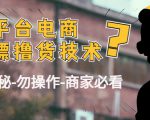 外面收费2980的全平台电商白嫖撸货技术(仅揭秘勿操作-商家防范必看)-淘金日记