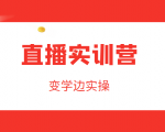 直播实训营,变学边实操,成为运营型主播,拉动直播间人气-淘金日记