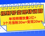 21天视频号变现特训营:单视频播放量2亿+3个月涨粉30w+变现20w+(第14期)-淘金日记