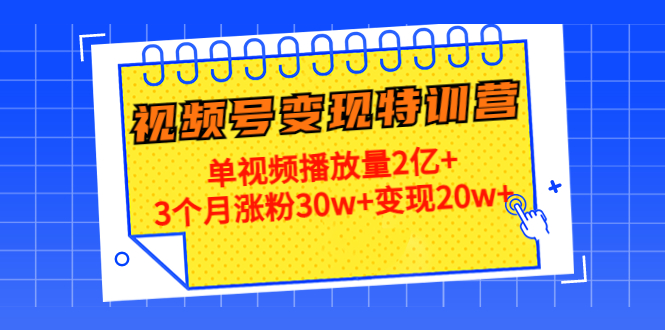 21天视频号变现特训营：单视频播放量2亿+3个月涨粉30w+变现20w+（第14期）-淘金日记