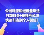 公域导流私域流量玩法:打爆抖音+视频号公域,快速引流到个人微信!-淘金日记