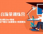 美业抖音流量训练营：从0到10w+粉丝 让你的门店用户增长+业绩增长+利润增长-淘金日记