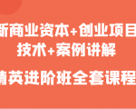 新商业资本+创业项目,技术+案例讲解,精英进阶班全套课程-淘金日记