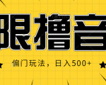 抖音直播无限撸音浪,简单可复制,偏门玩法,日入500+【视频教程】-淘金日记
