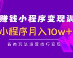 抖音赚钱小程序变现训练营:小程序月入10w+各类玩法运营技巧变现-淘金日记